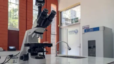 TOP 5 universidades del Ecuador líderes en producción científica