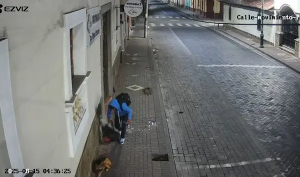 Tras cometer la fechoría, se retira sin medir las consecuencias de su malsano acto