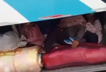 Mujer y 2 niñas viajaban como maletas