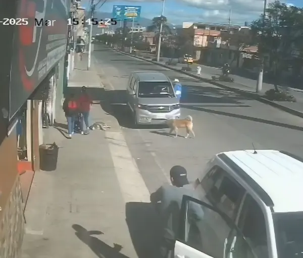 Una familia completa robó 1 teléfono en Riobamba