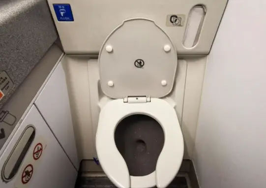 Sexo en el baño de un avión