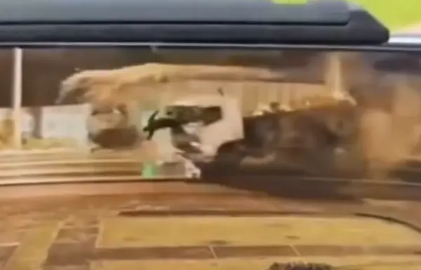 Terrible choque de camiones deja un muerto y un herido