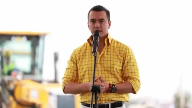 Nuevo precio mínimo de la caja de banano tras eliminación de Decreto 116 de Noboa