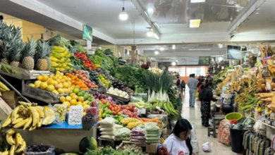 Alza de diésel afecta comercio en mercado El Salto de Latacunga.