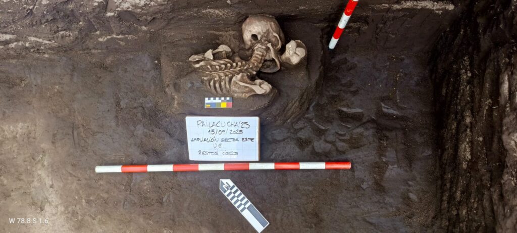 Arqueología en Rumicruz encuentran vestigios de la cultura Puruhá