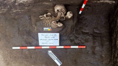 Arqueología en Rumicruz encuentran vestigios de la cultura Puruhá