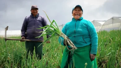 Bono Raíces en Ecuador: requistos y cómo aplicar para tener los USD 1.000