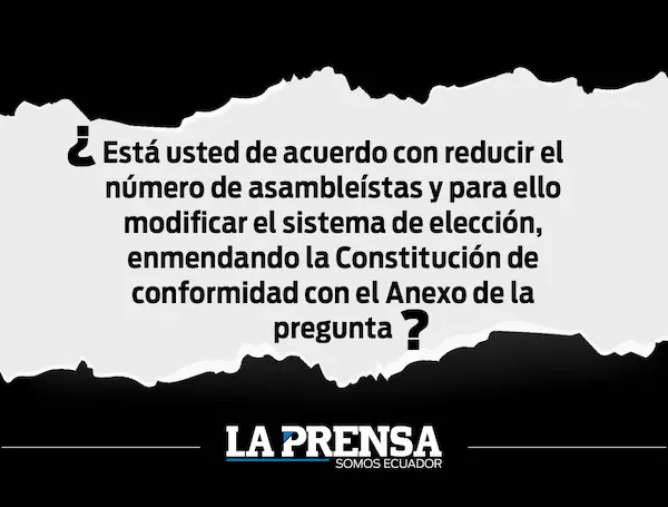Consulta popular Gobierno quiere reducir a la mitad los asambleístas