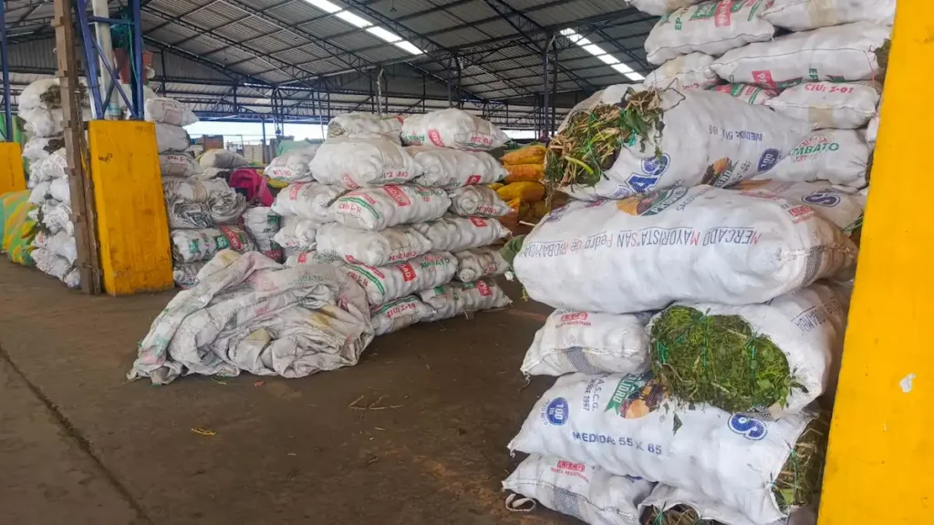 Costo de la papa genera opiniones en los mercados de Riobamba