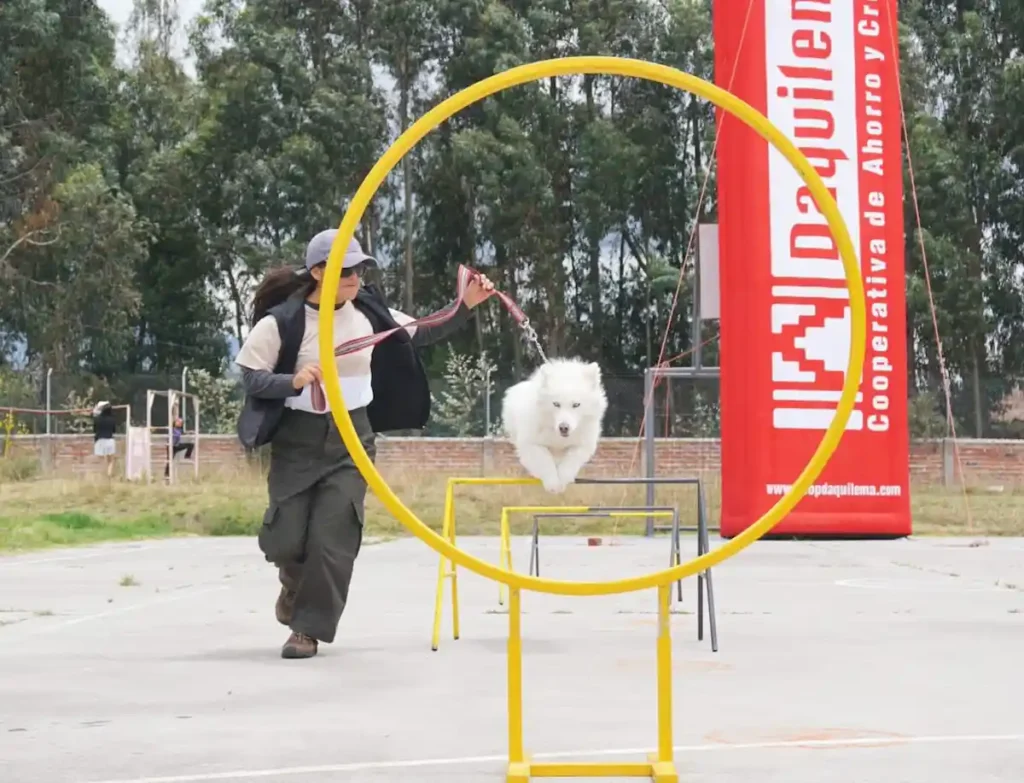 Curso de adiestramiento canino finalizó con entega de certificados