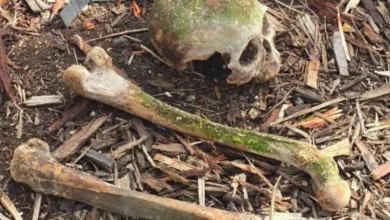 Encuentran huesos humanos en una mochila en Tungurahua.