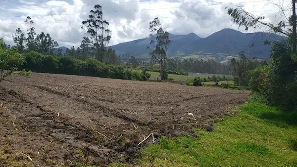 Hombre de Riobamba condenado a 9 años por estafa