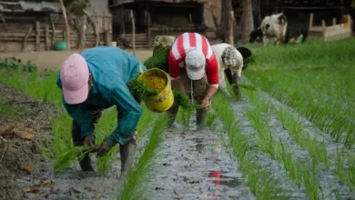 Gobierno inicia entrega de incentivos sociales y productivos por más de USD 1.100 millones
