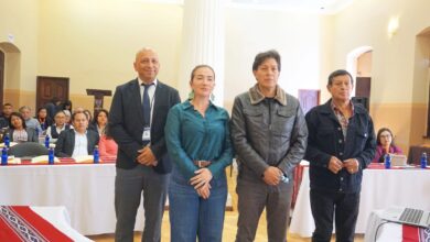 Incentivos tributarios del SRI 2025: como puedes ser beneficiario