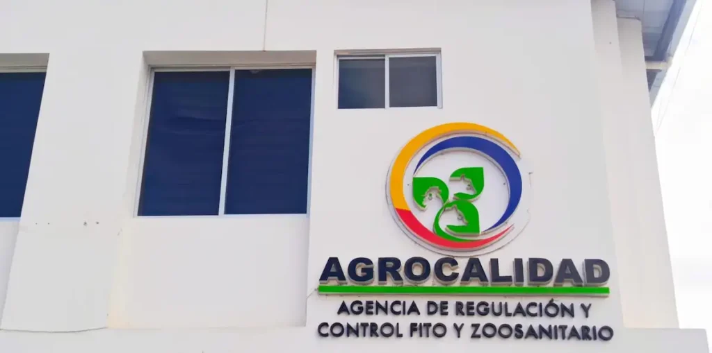 Influenza equina en Chimborazo el brote fue controlado