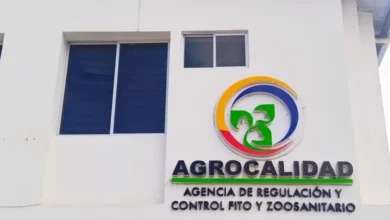 Influenza equina en Chimborazo el brote fue controlado