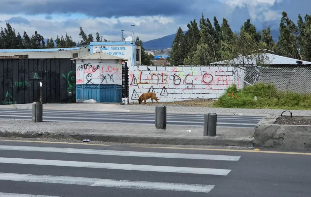 Vandalismo afecta a la unidad educativa César Viera en Latacunga.