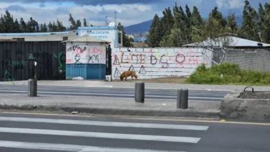 Vandalismo afecta a la unidad educativa César Viera en Latacunga.