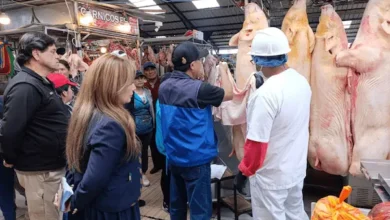 5 chanchos decomisados en San Alfonso en Riobamba