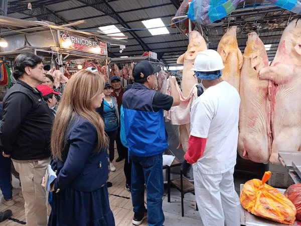 5 chanchos decomisados en San Alfonso en Riobamba