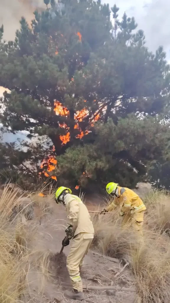 Con valor y decisión, los efectivos bomberiles desplegaron su tarea