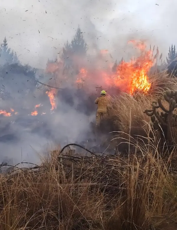 Bomberos combatieron 2 incendios forestales en Guamote