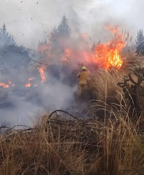 El fuego amenazaba con tomar proporciones inesperadas