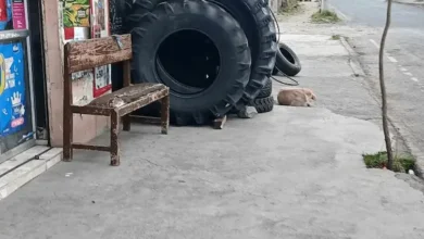 Negocios invaden aceras al Sur de Riobamba