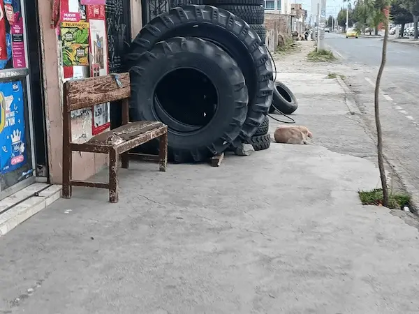 Negocios invaden aceras al Sur de Riobamba