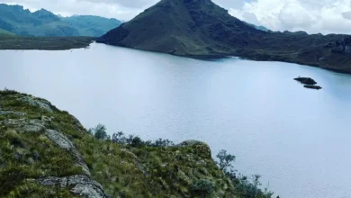 Parque Nacional Cajas: multiples razones para explorar su naturaleza única