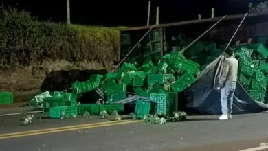 Camión cargado de legumbres se volcó en vía Mocha–Riobamba