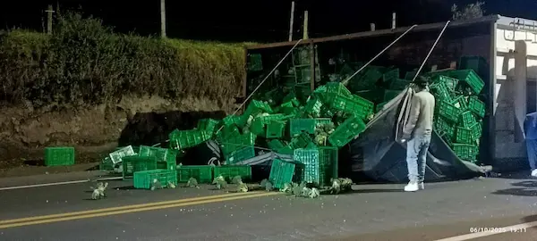 Camión cargado de legumbres se volcó en vía Mocha–Riobamba