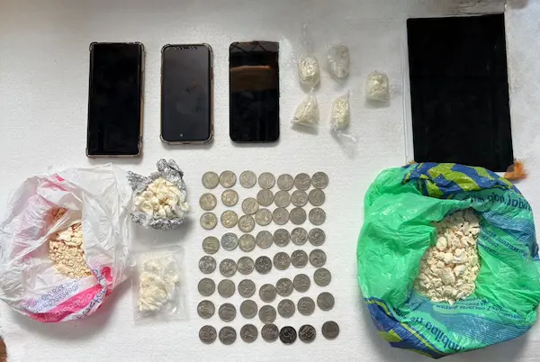 Parte de las evidencias recopiladas durante los allanamientos