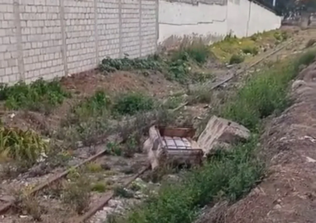 Ambato basura y ratas en la Tres Carabelas generan malestar.