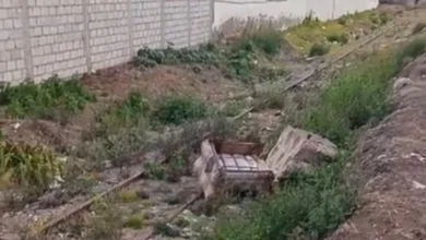 Ambato basura y ratas en la Tres Carabelas generan malestar.