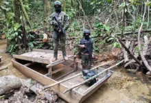 Aumenta la aprobación de las Fuerzas Armadas pese a denuncias de represión