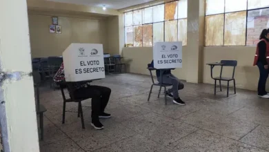 Calendario y campaña para referéndum y consulta popular 2025