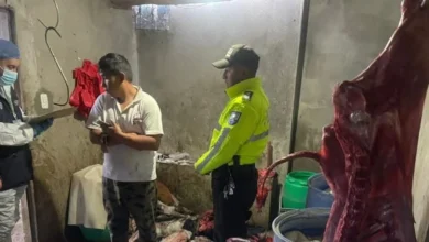 Clausuran camal clandestino con carne podrida en Ambato.