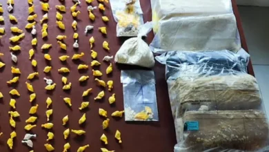 Hombre de Guano sentenciado a 19 años de cárcel por drogas