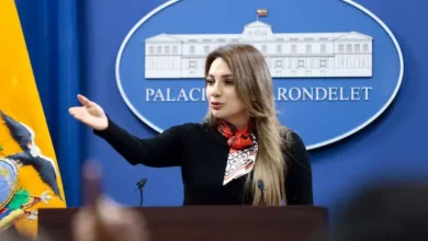 Vocera del Gobierno confirma deportación de periodista español