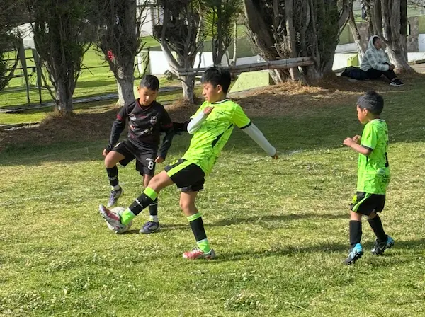 Fecha 4 del Mundialito: resultados de todas las categorías.