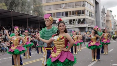 Fiesta de la Fruta y de las Flores 2026 instituciones participantes.