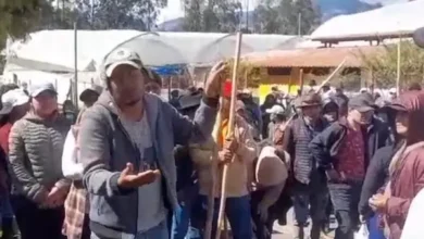 Expoflores denuncia toma de fincas florícolas por parte de manifestantes