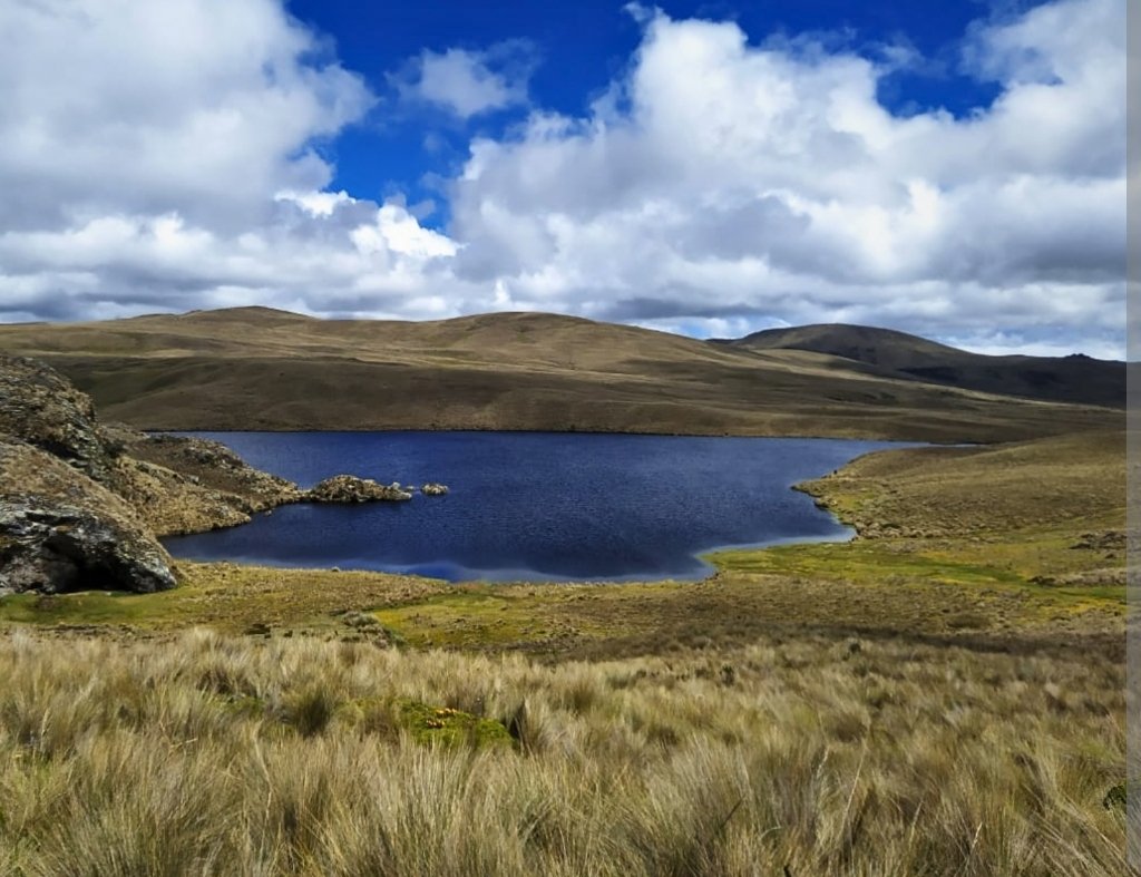 Gobierno revoca la licencia al proyecto minero Loma Larga de Quimsacocha