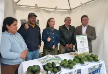 MAG abre mercado exterior para productores de Chimborazo