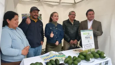 MAG abre mercado exterior para productores de Chimborazo