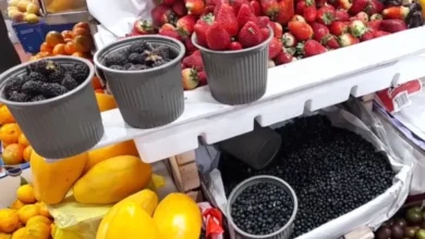 Productos para la colada morada suben de precio en Latacunga.