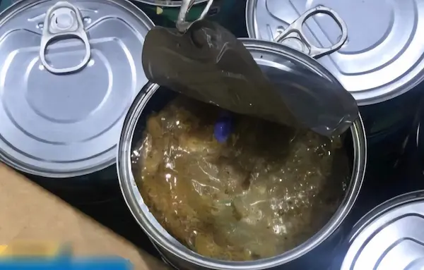 Hombre que escondía droga en latas de atún va a juicio