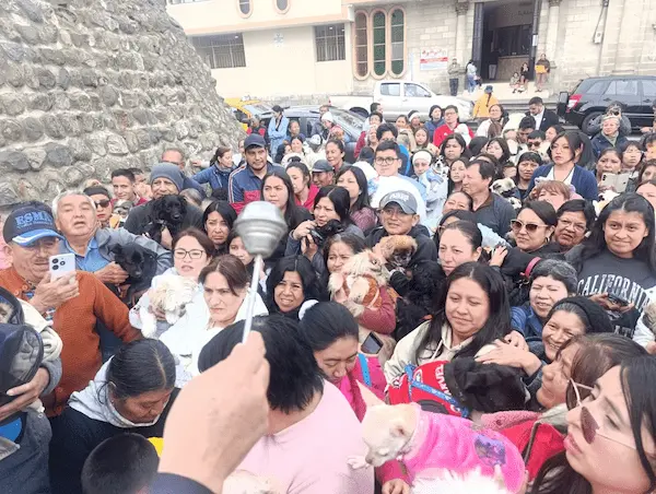 Día de los Animales: las mascotas fueron bendecidas en Riobamba con fe y amor