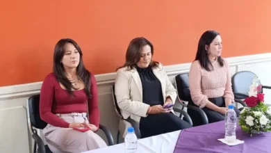 Día Internacional de la No Violencia contra la Mujer: presentaron concurso